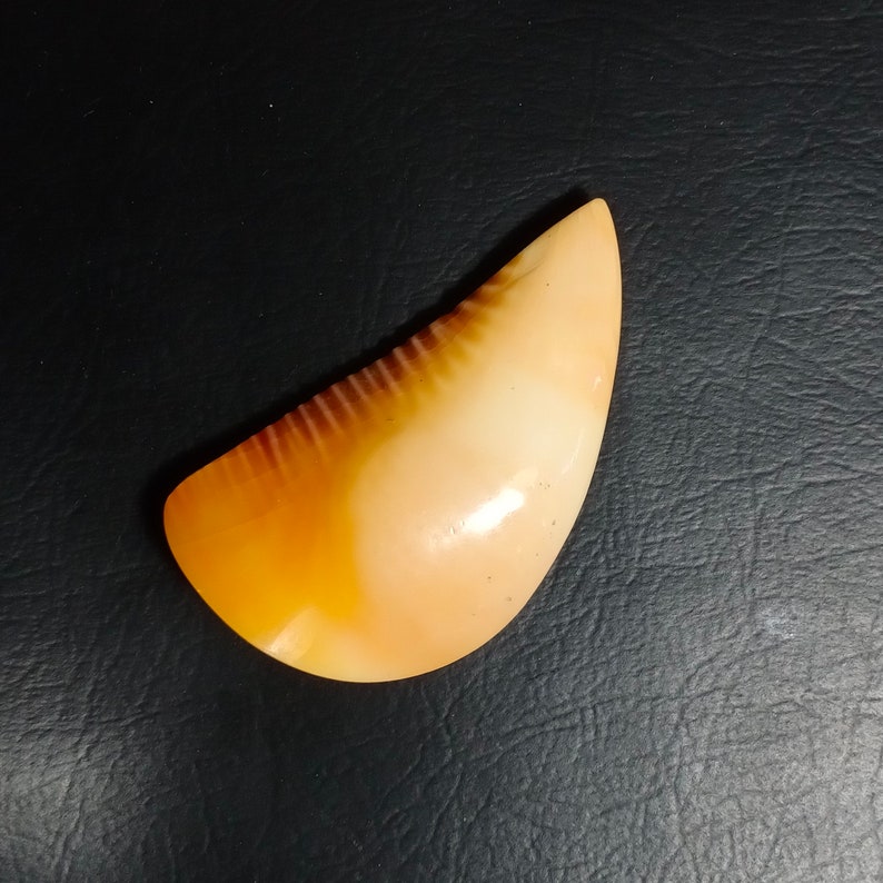AAA Grade Quality Orange Kemoshele Cabochon Loose Gemstone Cabochon Gemstone 93.50 Carat 54x29x10mm