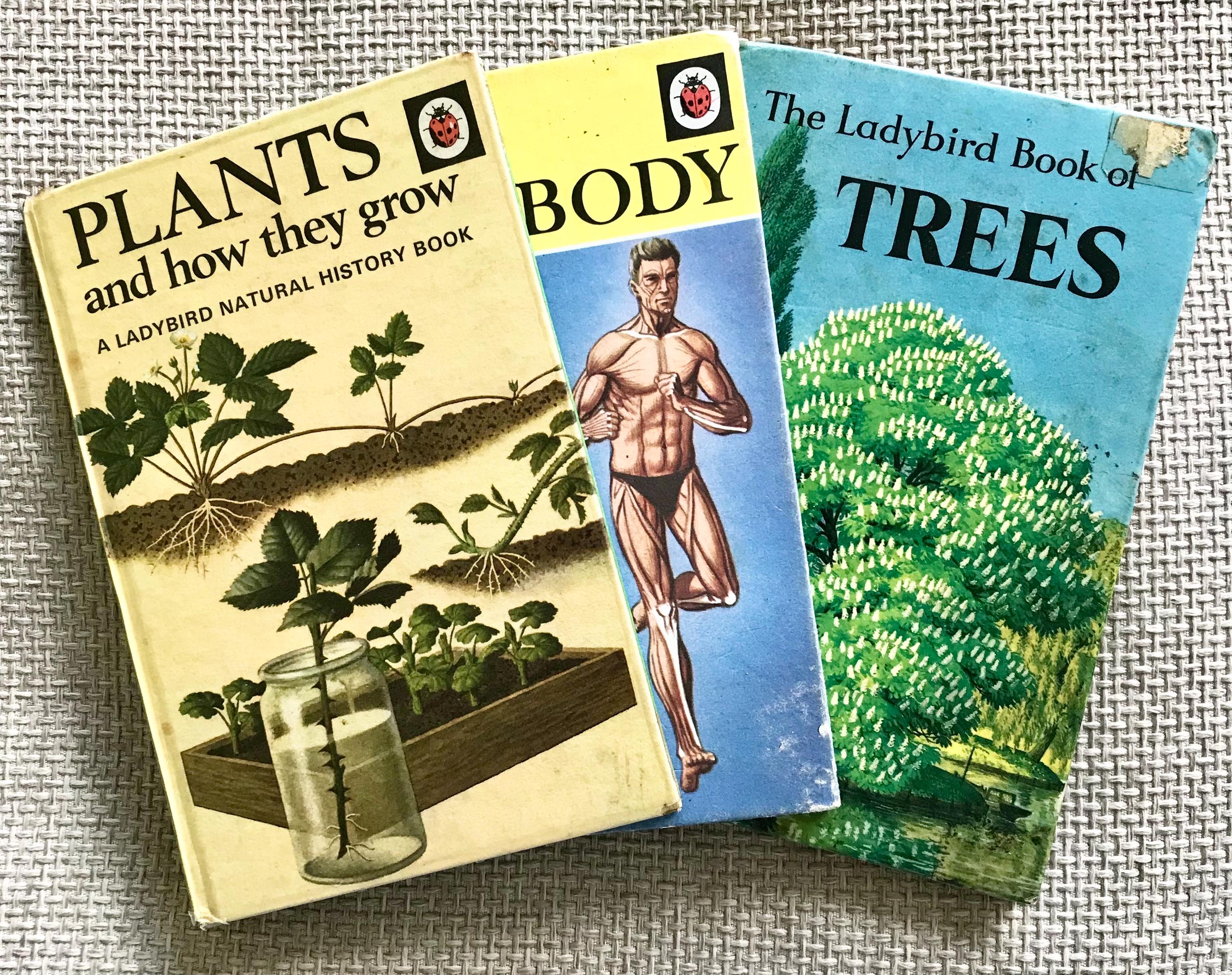 Vintage Childrens Ladybird Books - Etsy Canada