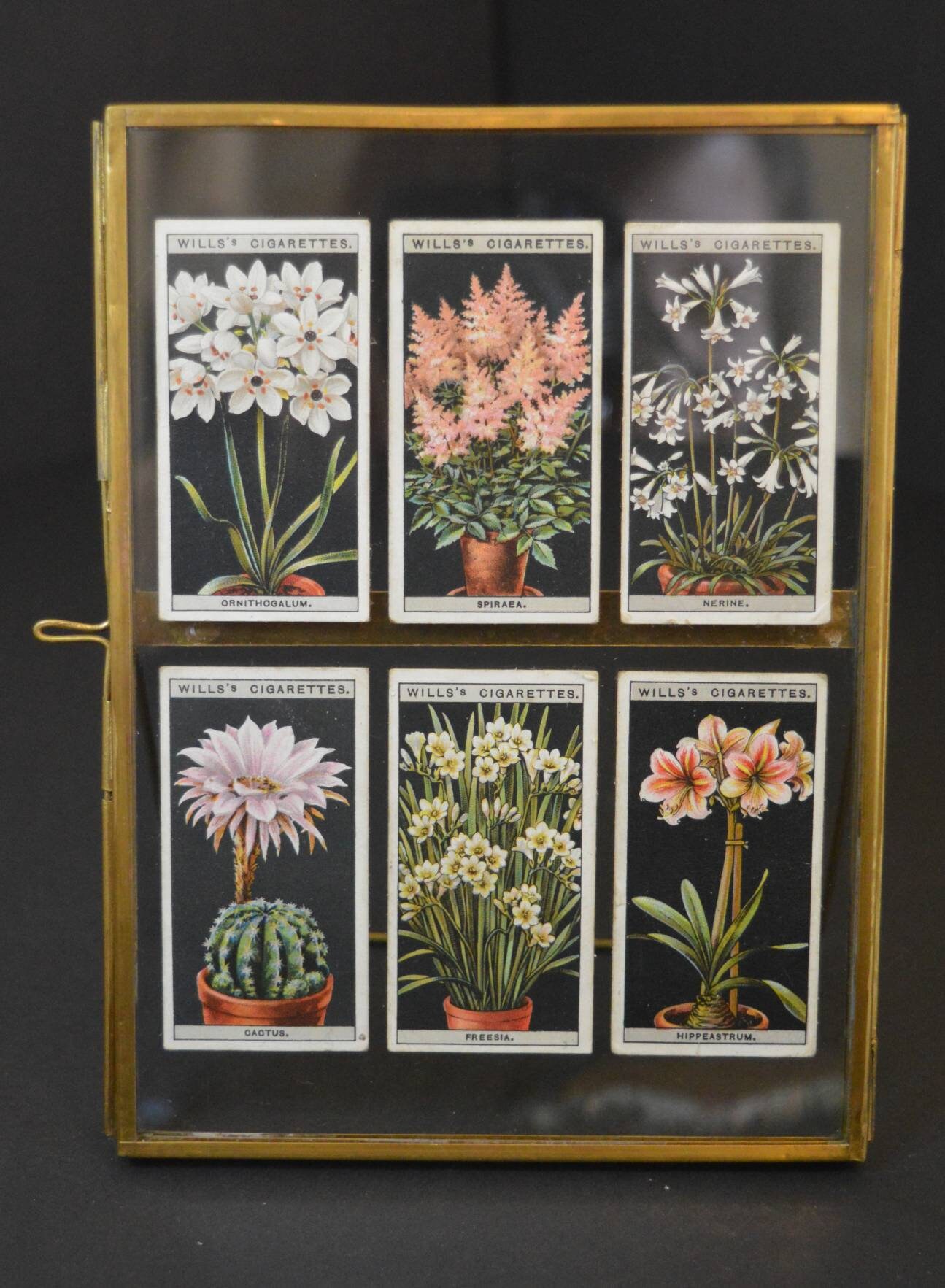 Vintage botanical cigarette cards in brass photo frame Etsy
