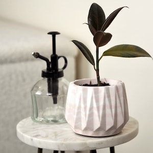 Può includere: Un vaso di ceramica geometrico rosa e bianco con una pianta di gomma che cresce al suo interno. La pianta ha foglie verde scuro e si trova su un tavolo di marmo bianco.