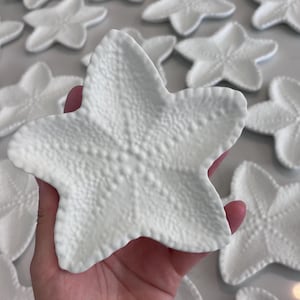 Plato de baratijas de hormigón con forma de estrella de mar: Bandeja costera para joyas, anillos y llaves