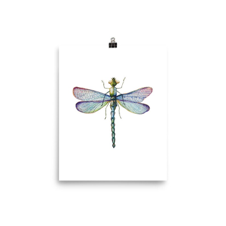 Dragonfly Art Wall Dorm Hanging Print Insect Poster Decor
