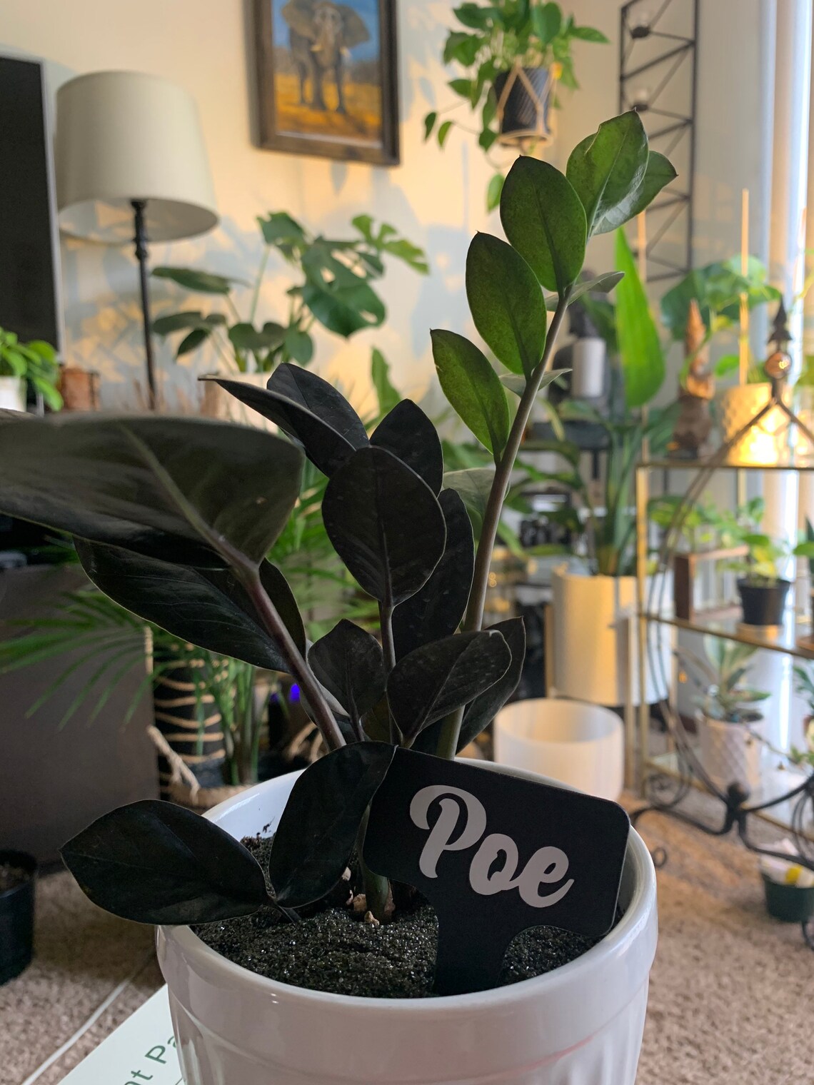 Customizable Plant Name Tags Plant Identification Plant Tag Etsy