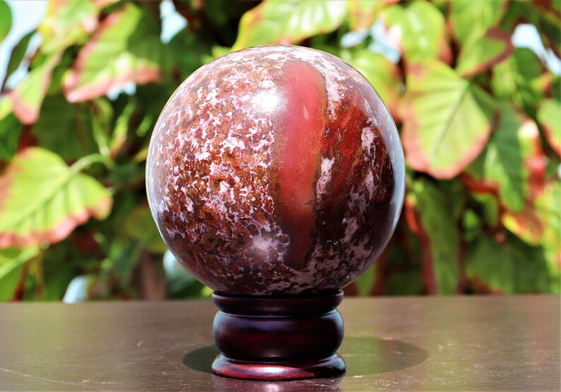 Large 110MM Natural Red King Cobra Jasper Stone Healing Etsy