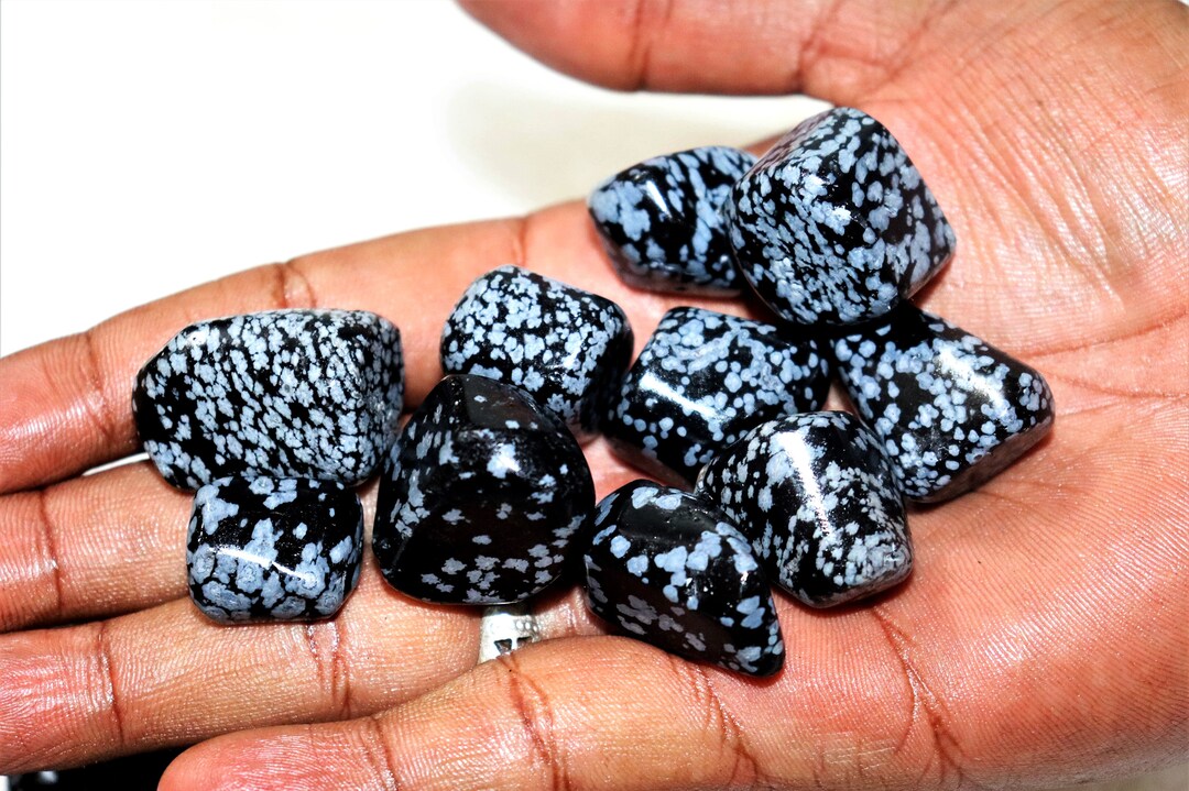 Rare Natural Black Snowflake Jasper Snowflake Obsidian Stone Etsy