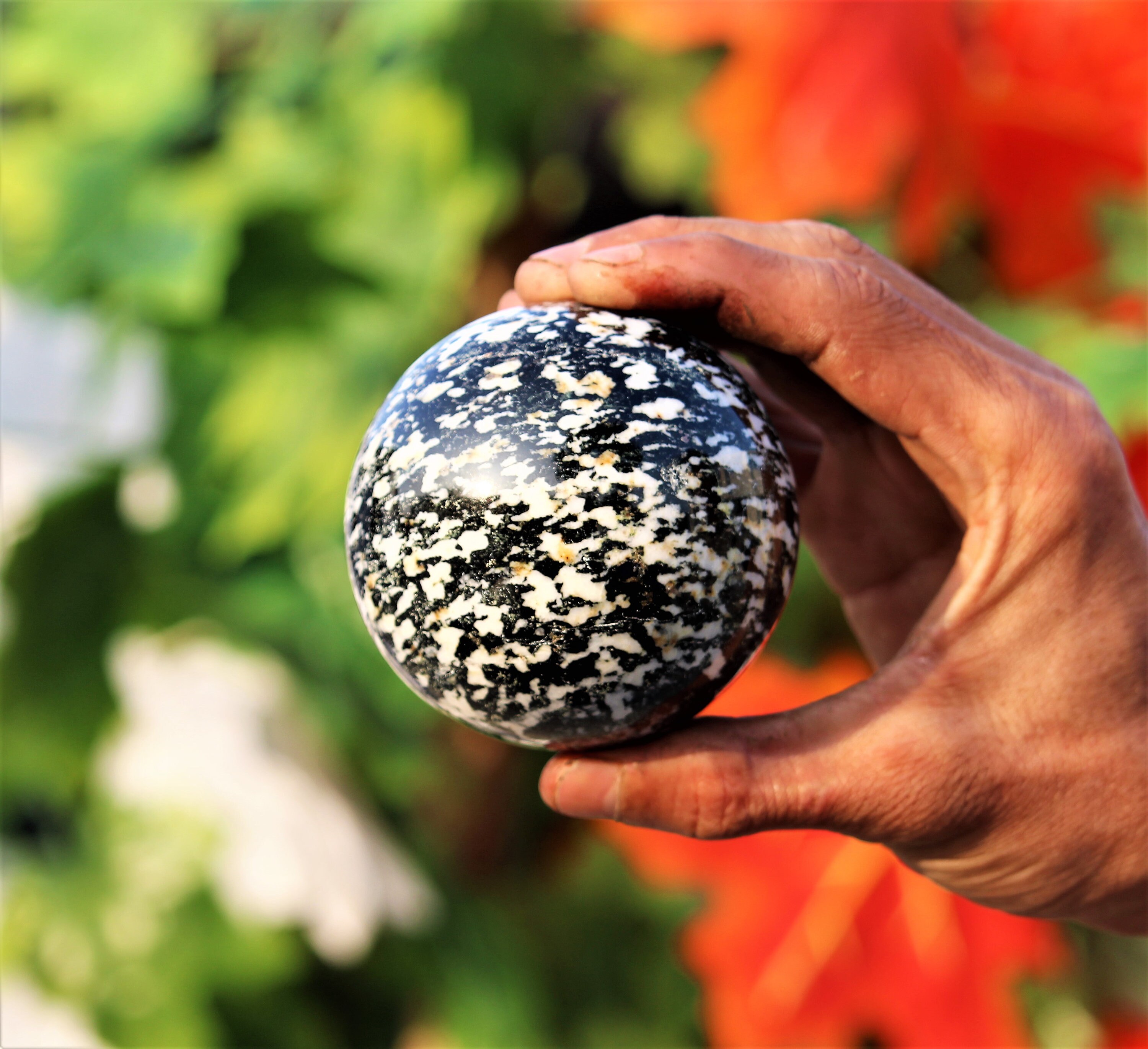 Large 80MM Natural Black Zebra Jasper Stone Chakra Healing Etsy