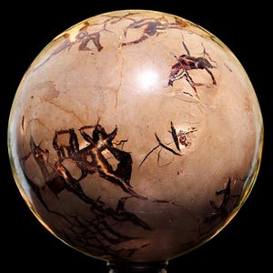 Esfera de septaria amarilla (235 mm): Cristal decorativo para el hogar con temática Reiki imagen 7