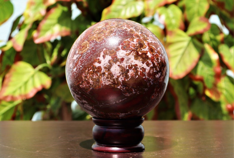 Large 110MM Natural Red King Cobra Jasper Stone Healing Etsy