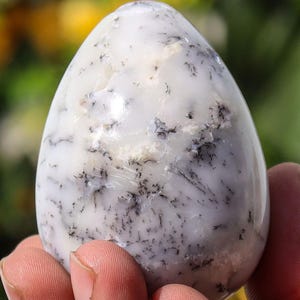 60MM White Dendritic Agate Egg Chakra Balancing Natural Healing Crystal Egg Metaphysical Meditation Stone Spiritual Energy Home Decor Gift