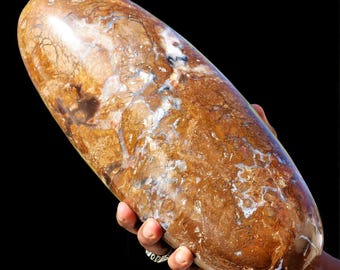 Yellow Petrified Wood Lingam: Chakra Healing Crystal, Spiritual Decor (325mm)