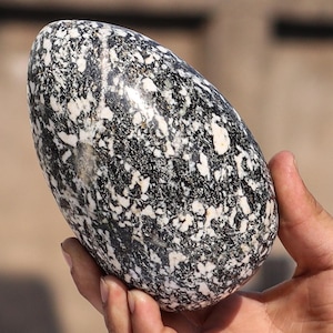 145MM Snowflake Jasper Crystal Egg: Chakra Balancing, Gothic Home Decor