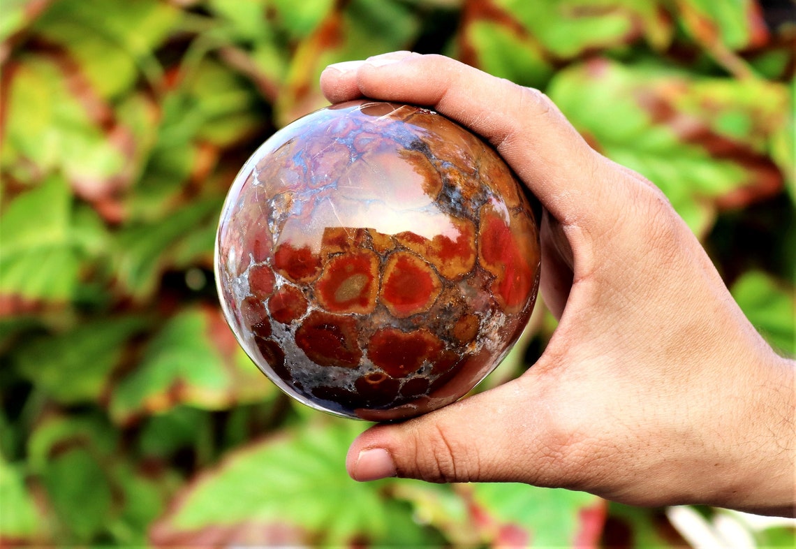 Large 85MM Natural Red King Cobra Jasper Stone Healing Etsy