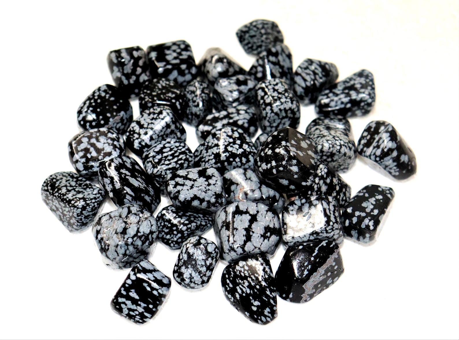 Rare Natural Black Snowflake Jasper Snowflake Obsidian Stone Etsy