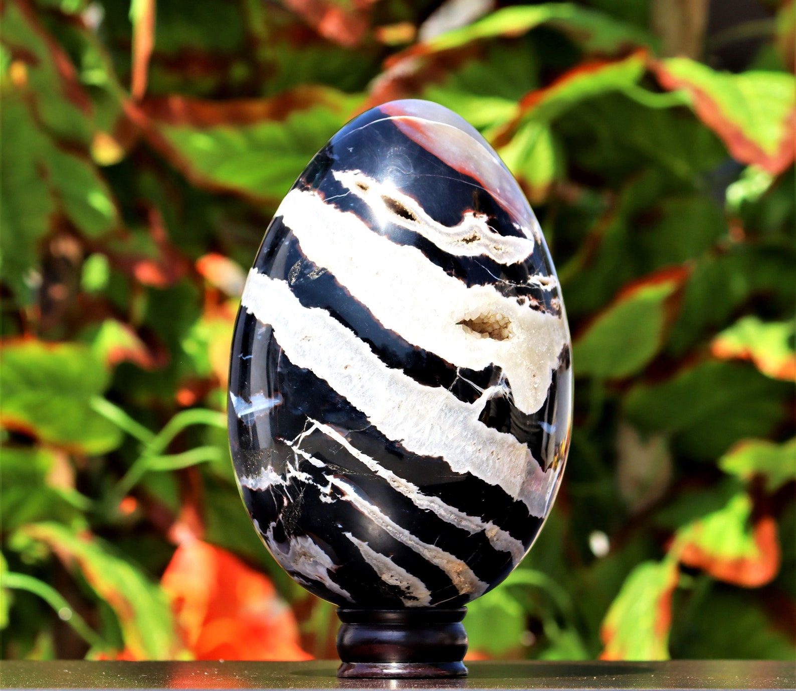 Huge 220MM Natural Black Zebra Jasper Chakra Stone Etsy UK