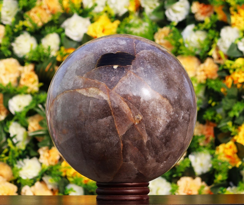 Huge 275MM Natural Smoky Quartz Rock and Minerals Quartz Etsy