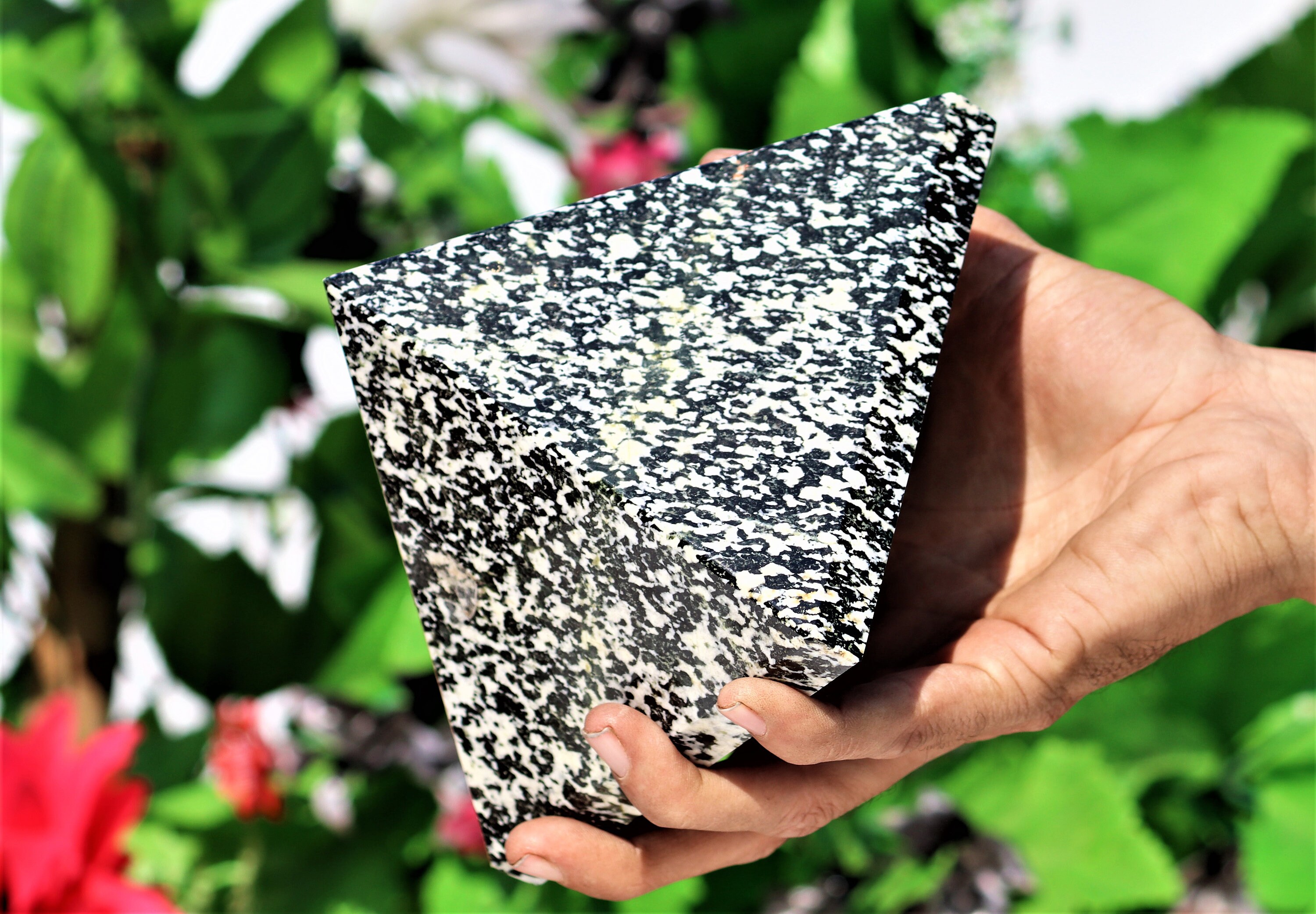 Huge 130MM Natural Black Zebra Jasper Stone Chakra Healing Etsy