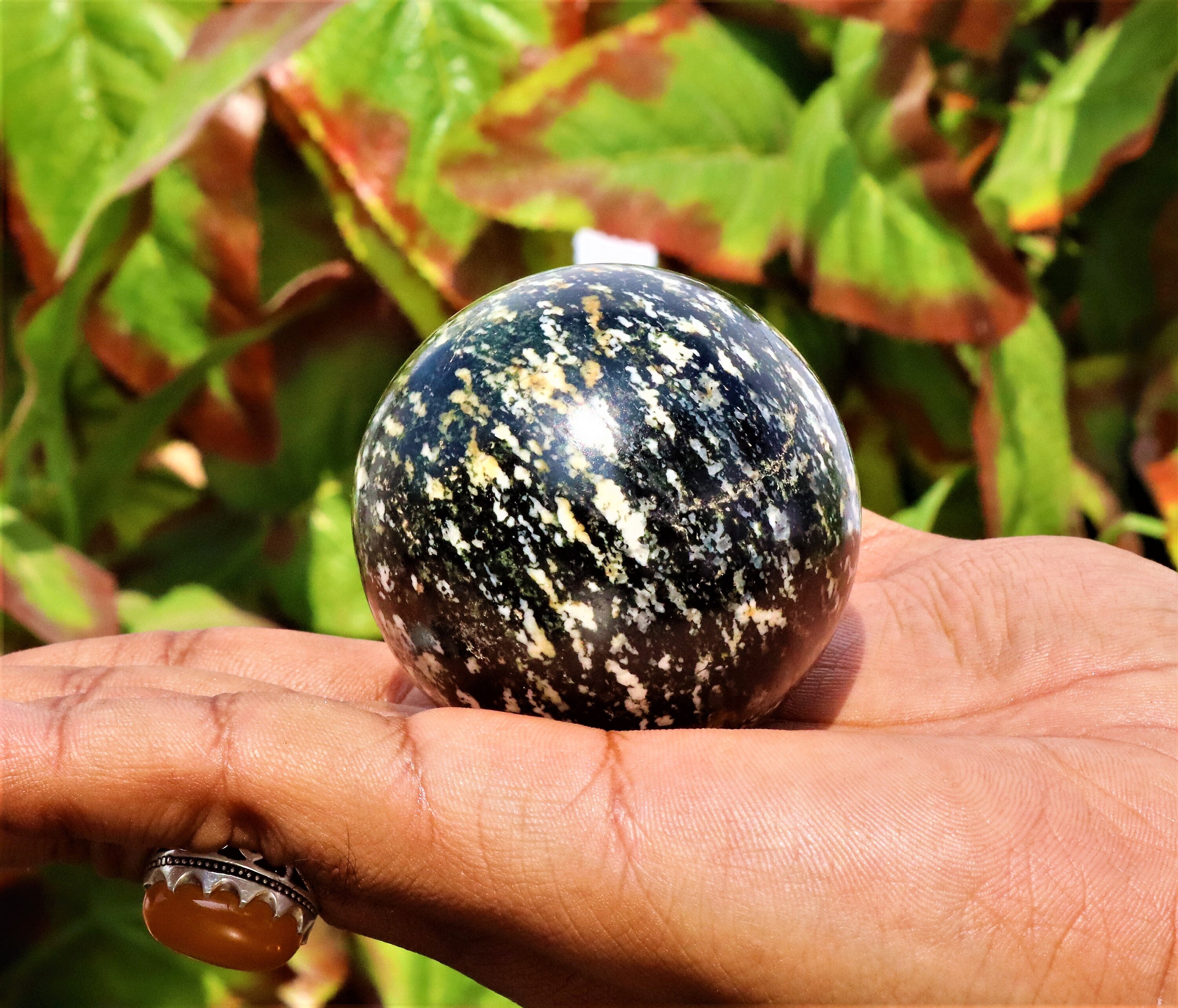 Small 55MM Natural Black Zebra Jasper Stone Chakra Healing Etsy Canada