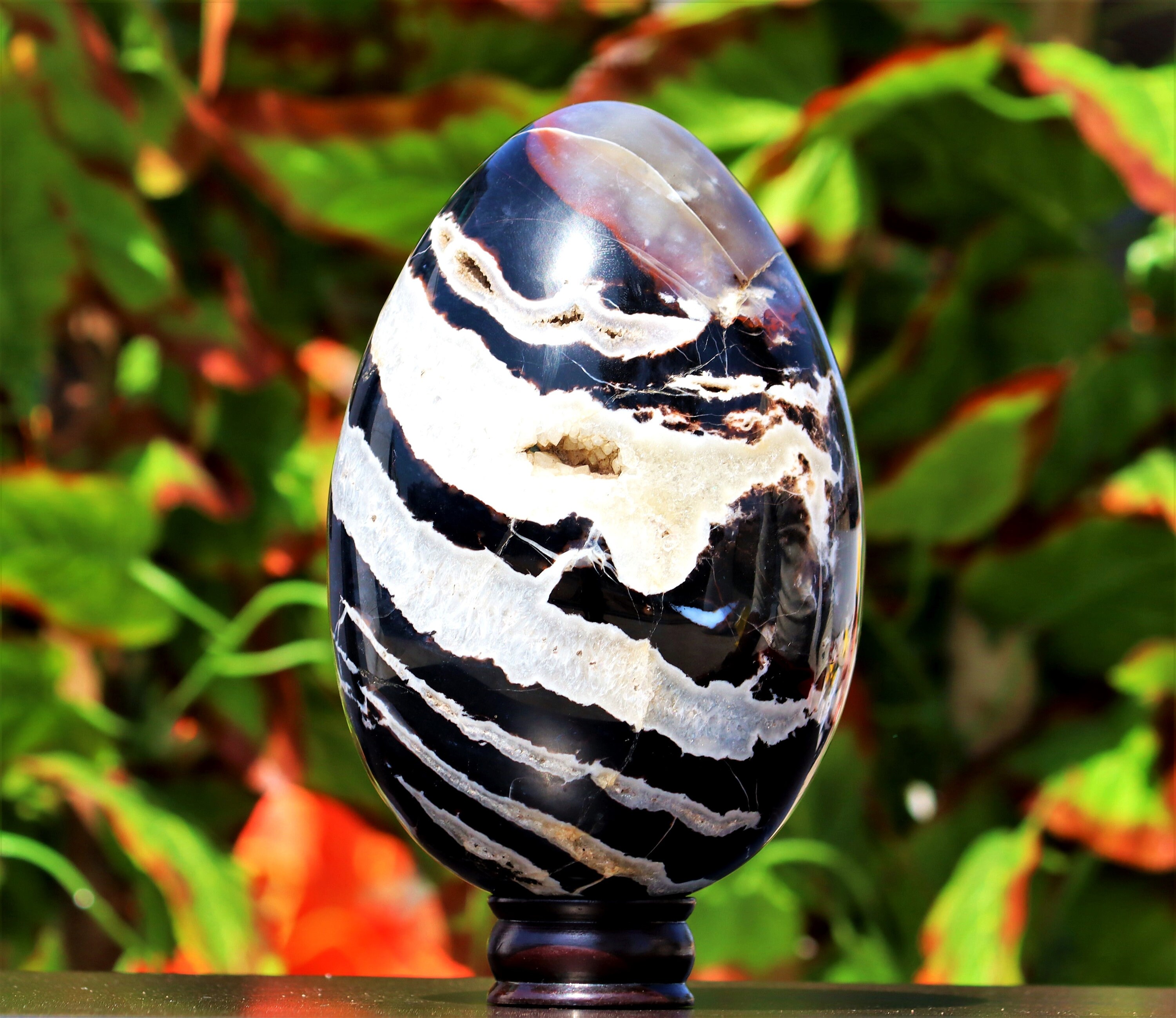 Huge 220MM Natural Black Zebra Jasper Chakra Stone Etsy