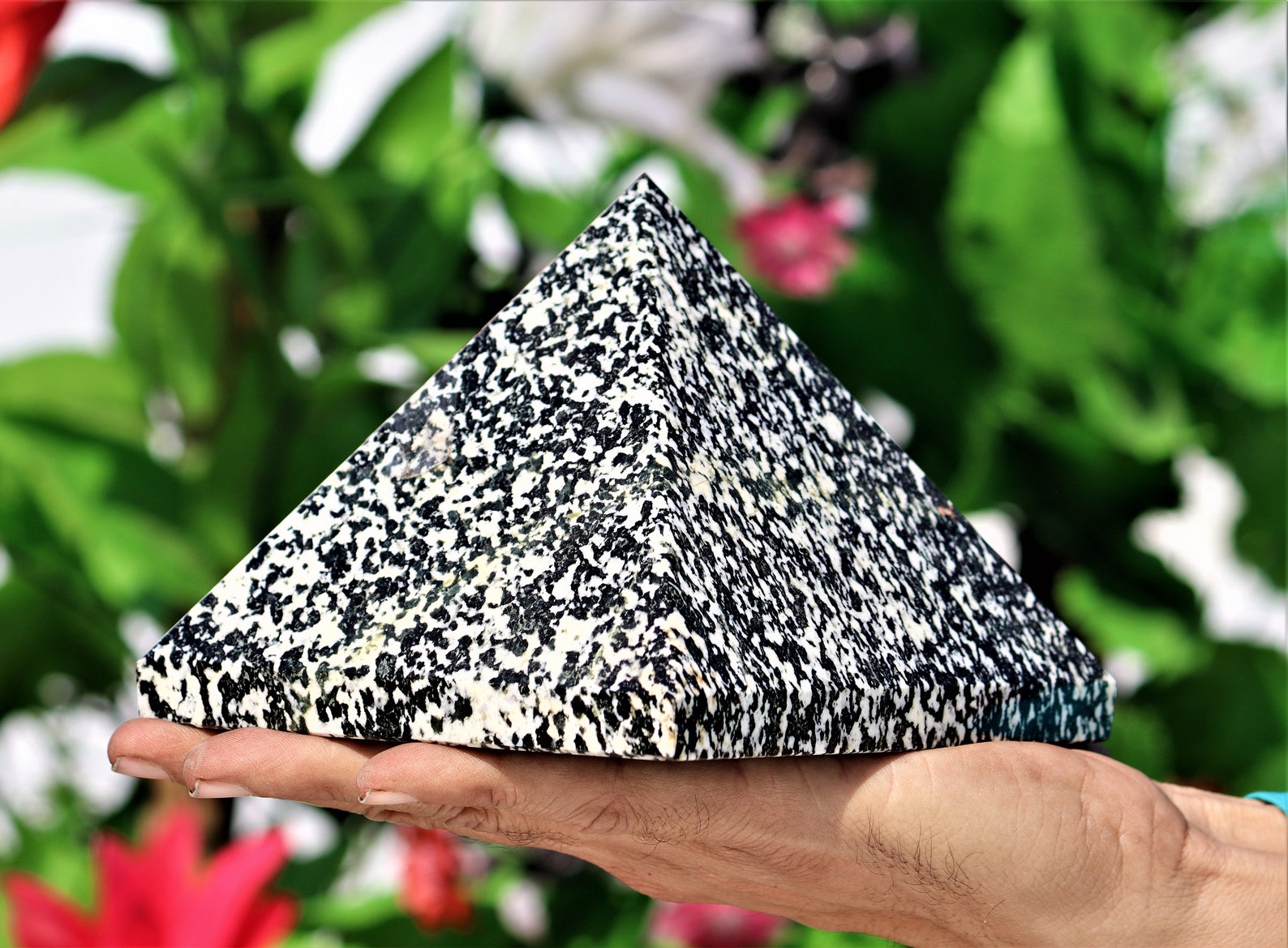 Huge 130MM Natural Black Zebra Jasper Stone Chakra Healing Etsy