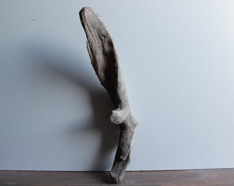 treibholz schwemmholz 1 skulptur dekoration naturprodukt driftwood garten maritim vintage terrasse wohnung 152 - Maritime Lampen treibholz schwemmholz 1 skulptur dekoration naturprodukt driftwood garten maritim vintage terrasse wohnung 152 - Maritime Lampen