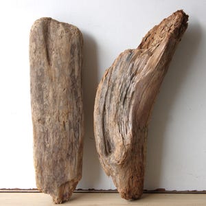 Drijfhout Drijfhout Drijfhout 2 Knotty Woods Tuindecoratie Terrarium Upcycling Vintage Design Craft Materiaal 43-44 cm *E32**