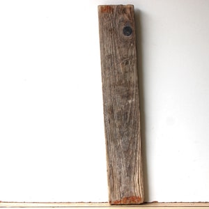 Drijfhout Drijfhout 1 XL Plank Tuindecoratie Terrarium Upcycling DIY Vintage Pasen Design Plank 77,5 cm