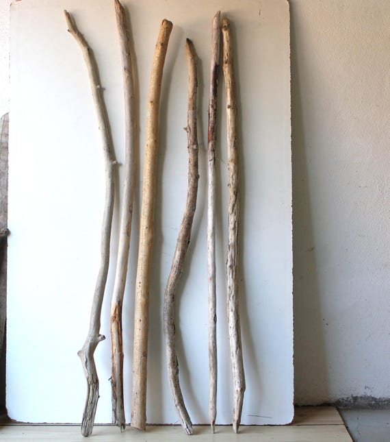 Legno galleggiante MEGA rami decorazione per guardaroba terrario