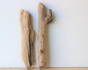 May include: Two pieces of driftwood, one with a natural curve and the other straight, both with a light brown color and a rough texture.