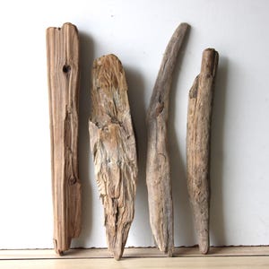 Drijfhout Drijfhout 4 XL Hout Tuindecoratie Terrarium Upcycling Vintage Design Ambacht Materiaal 49 cm - 56 cm *E57*