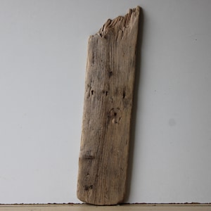 Drijfhout Drijfhout 1 XL Plank Tuindecoratie Terrarium Upcycling DIY Vintage Pasen Design Handwerkmateriaal Plank 61 cm