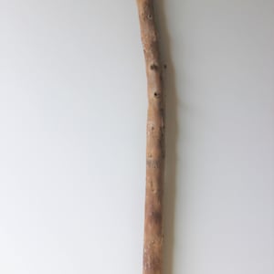 Treibholz Schwemmholz  Driftwood 1  XXL   Ast   Garten Dekoration Terrarium  Upcycling Diy Vintage  Garderobe  Bastelmaterial  111 cm