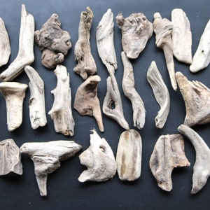 Madeira flutuante, 30 miniaturas especiais de 9 a 16 cm, decoração de jardim, terrário, reciclagem, faça você mesmo, design vintage **E65**