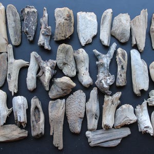 Drijfhout 40 speciale mini's 6-16 cm tuindecoratie terrarium upcycling DIY vintage design **217**