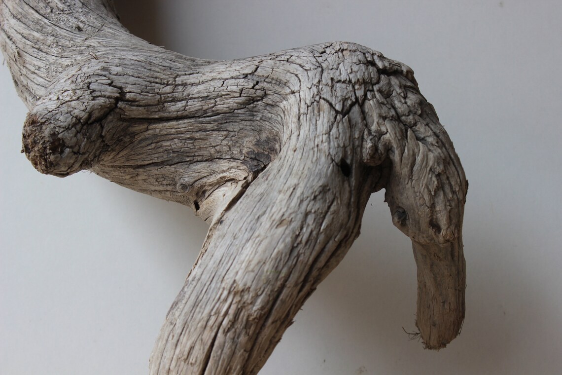 Treibholz Schwemmholz Driftwood 1 XXL Wurzel Garten | Etsy