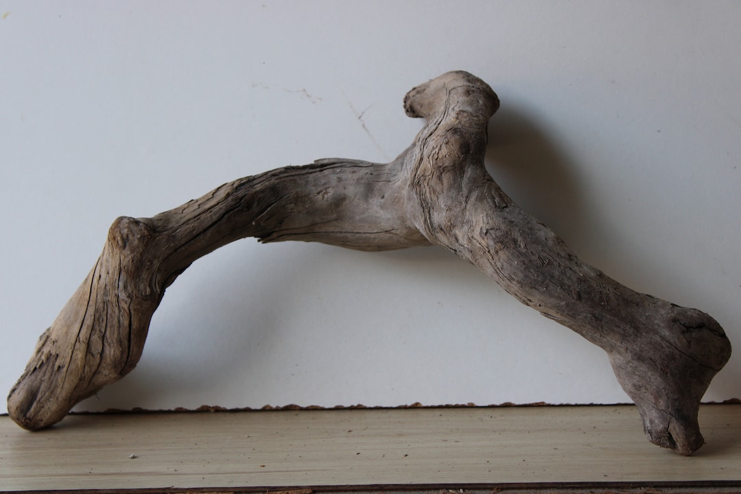 Treibholz Schwemmholz Driftwood 1 knorrige Wurzel Garten Dekoration ...