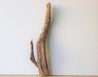 Puede incluir: Una rama de madera natural de color marrón con una forma y textura únicas. La rama tiene una sola rama lateral y una parte superior curva y nudosa.