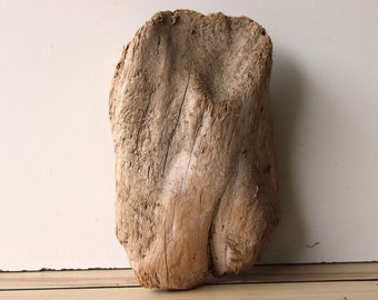 May include: A piece of driftwood with a rough, weathered texture. The wood is a light brown color and has a natural, organic shape.