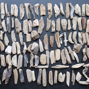 Op de afbeelding: Een verzameling verweerde stukken drijfhout in verschillende vormen en maten. De houttinten variëren van lichtbeige tot donkerbruin, met enkele stukken die natuurlijke nerf en textuur vertonen. De opstelling staat op een donkere ondergrond.