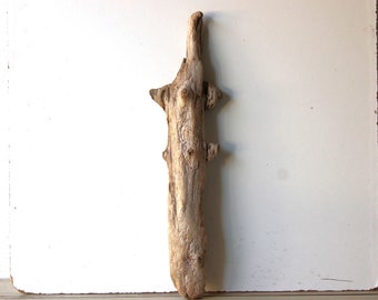 May include: A piece of driftwood with a natural, weathered finish. The wood has a unique shape with several branches and knots.