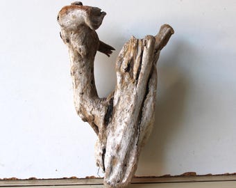 May include: A piece of driftwood with a unique, natural shape. The wood is light brown and white with a weathered texture.
