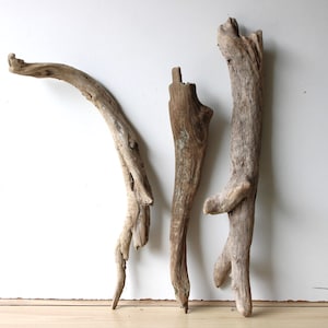 Può includere: Tre pezzi di legno trasportato dalla corrente di varie forme e dimensioni sono esposti su uno sfondo bianco. Il legno trasportato dalla corrente varia dal beige chiaro al marrone scuro, con trame e nodi visibili. I pezzi sembrano naturalmente invecchiati e usurati.