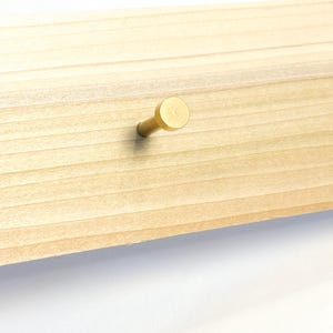 May include: A gold-toned metal hook mounted on a light wood surface.