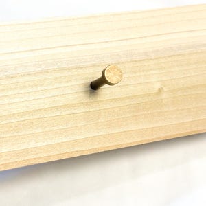 May include: A single brass hook mounted on a light wood surface.