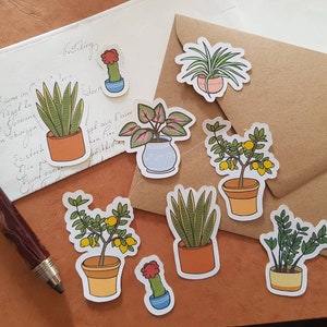 Juego de pegatinas de plantas de interior