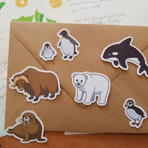 Set d'autocollants Animaux polaires