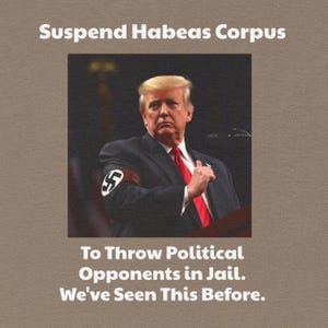Habeas Corpus - Jail Opponents, Unisex, Political Opponent Imprisonment, Activist Shirt, Civil Rights, Protest Apparel, Statement Clothing
