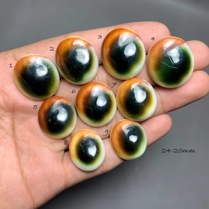 Puede incluir: Nueve cabujones de concha de ojo de Shiva de forma ovalada con un acabado liso y pulido. Cada pieza presenta un patrón de espiral de color verde oscuro a negro rodeado por bandas naranjas y blancas. Las piedras están numeradas del 1 al 9, con texto 24-20mm.