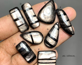 Hypersthene Cabochon , Natural Gemstone For Jewelry Making ( 31-18mm) #D4061