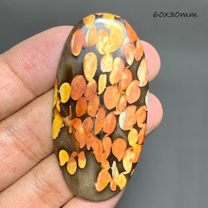 May include: An oval-shaped cabochon gemstone measuring 60x30mm. The stone features a dark brown, smooth, polished base with a dense pattern of vibrant orange and yellow circular and leaf-shaped inclusions scattered across the entire surface.