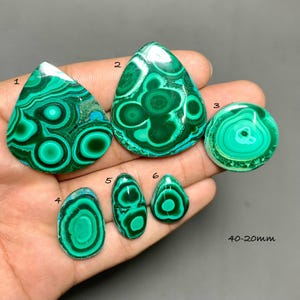 May include: A collection of six polished malachite gemstones in various shapes, including teardrop and oval. The stones display concentric patterns of dark and light green, with some featuring hints of blue. The sizes range from 0.78 to 1.57 inches.